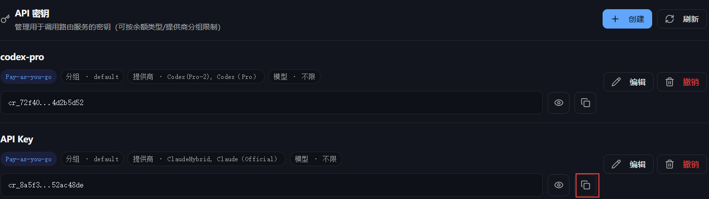 复制 API Key